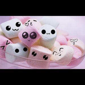 Meet your Posher, Sofia